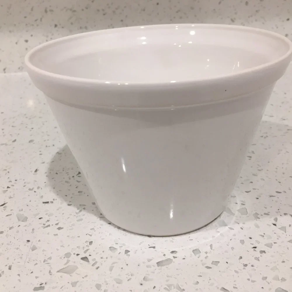 Original 1st Release of Crate & Barrel “Popcorn” Bowls Set of 2 (early 2000s)
